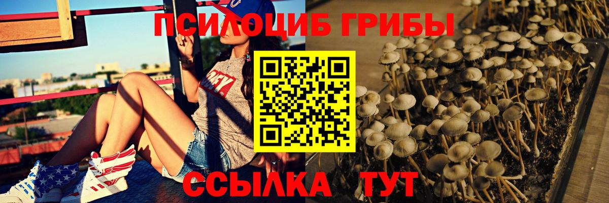 Псилоцибиновые грибы прущие грибы  Вход с VPN  Саранск  Галлюциногенные грибы мухоморы 